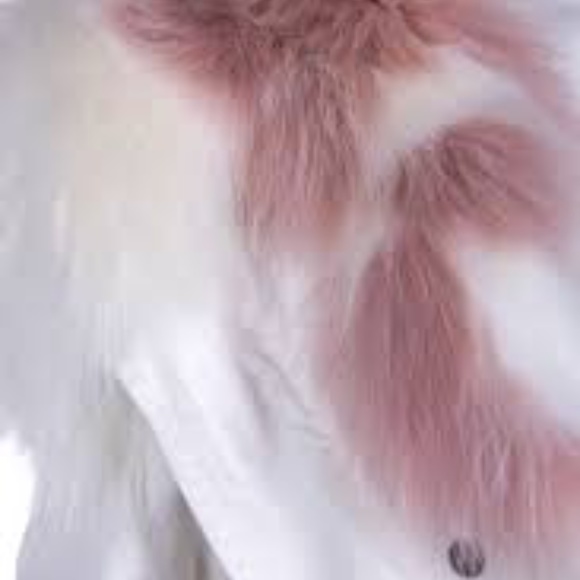 Mr&Mrs Italy - Picture 4 of 7